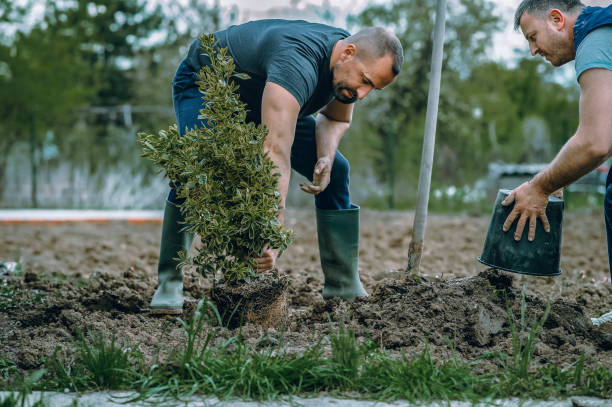 Leaf Removal in Prineville, OR