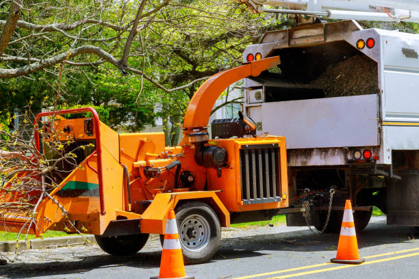 Prineville, OR Tree Services Company